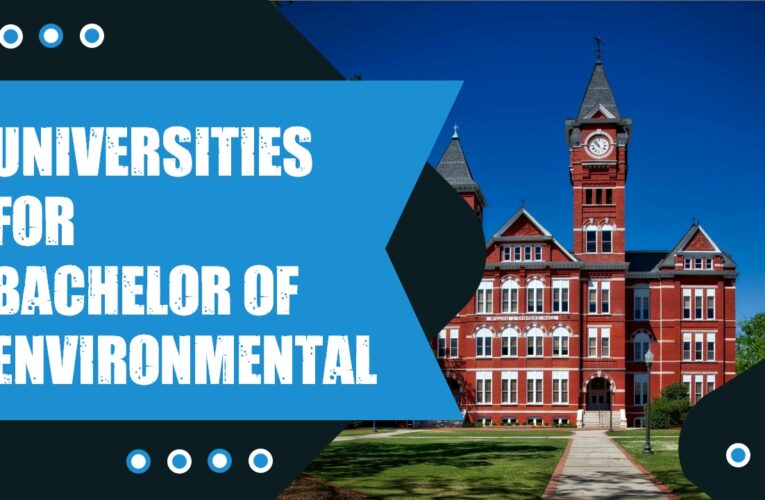 Top 4 UK Universities for a Bachelor of Environmental Science (B.Env.Sc.) Degree